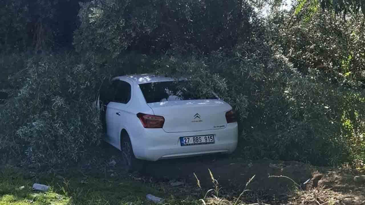 Zeytin bahçesine giren otomobilin çarptığı kişi hayatını kaybetti
