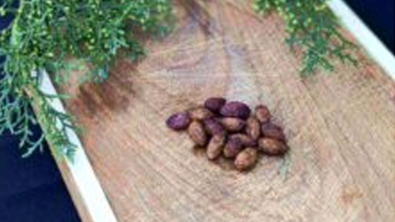 Zeytin çekirdeği neden atılmamalı? Zamanı durduran çınar!