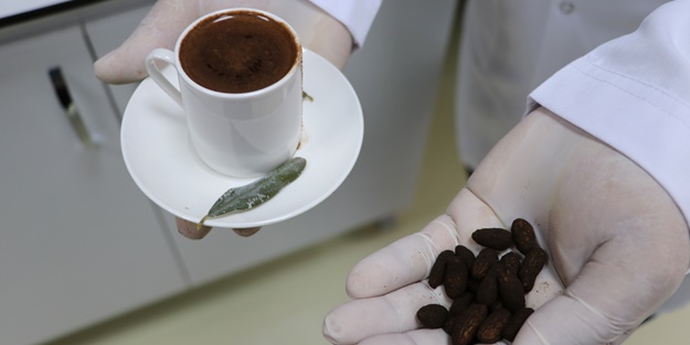 Zeytin çekirdeğinden Türk kahvesi üretildi
