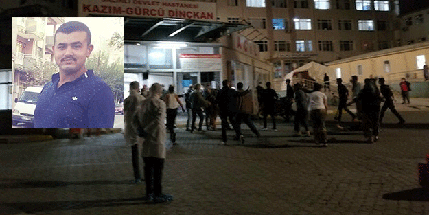 'Zeytin fidanı' kavgası kanlı bitti