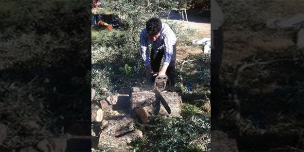 Zeytin fiyatlarına tepkisini böyle gösterdi
