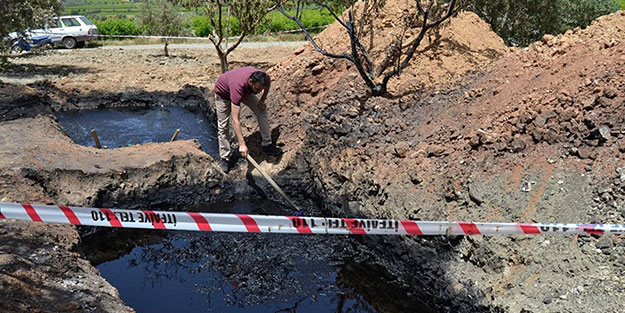 Zeytin tarlasında petrol çıktı! 50 milyon dolarlık teklif yaptılar... Adam şaşkına döndü