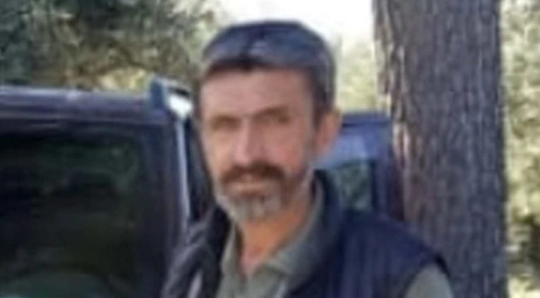 Zeytin toplarken arı soktu! 3 çocuk babası hayatını kaybetti