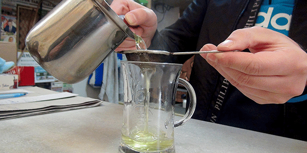 Zeytin ve zeytinyağı yaprağı koronavirüsün can düşmanı