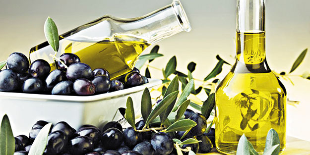 Zeytin ve zeytinyağında zirveye koşuyoruz