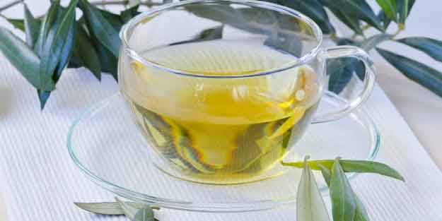 Zeytin yaprağının faydaları nelerdir? Zeytin yaprağı çayı faydası