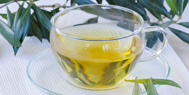 Zeytin yaprakları kendisinden daha faydalı! Süper bir ilaç