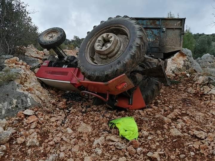 Zeytin yüklü traktör devrildi: 1 yaralı 
