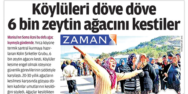 Zeytinliği gördüler Aksa’yı ‘pas’ geçtiler