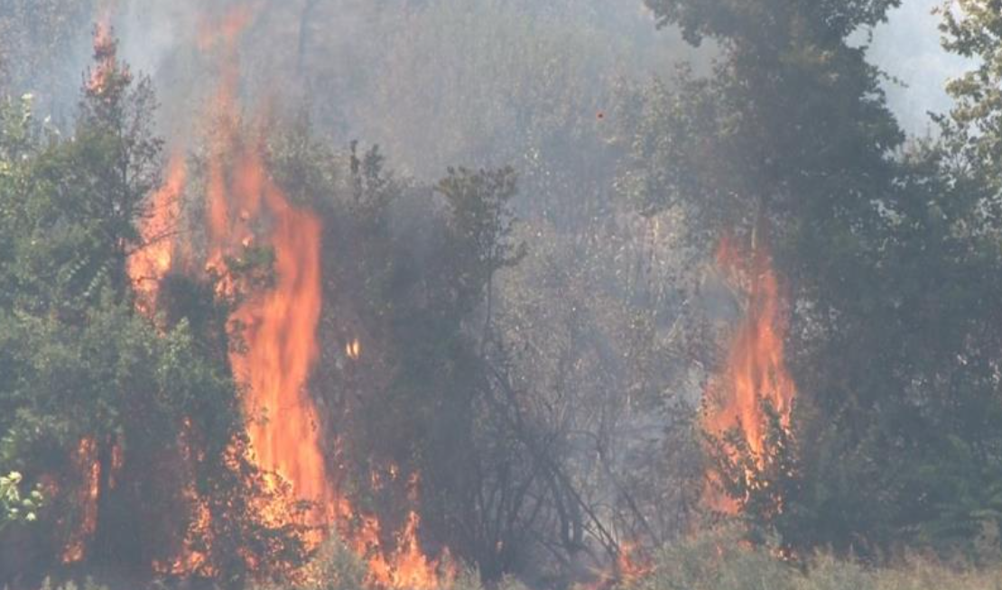 Zeytinlik yangını söndürüldü