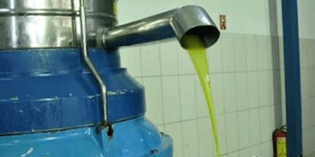 Zeytinyağı fabrikasına 262 bin TL ceza