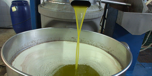 Zeytinyağı için çok kritik uyarı! Evinizde varsa hemen bunu yapın