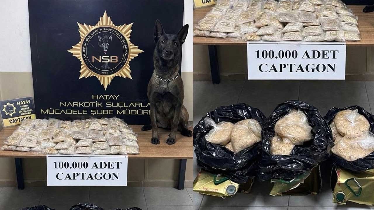 Zeytinyağı tenekelerinden çıkanlar 'pes' dedirtti