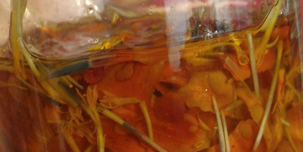 Zeytinyağında demleme kadife çiçeği: Çok sayıda faydası var, duyan yok!