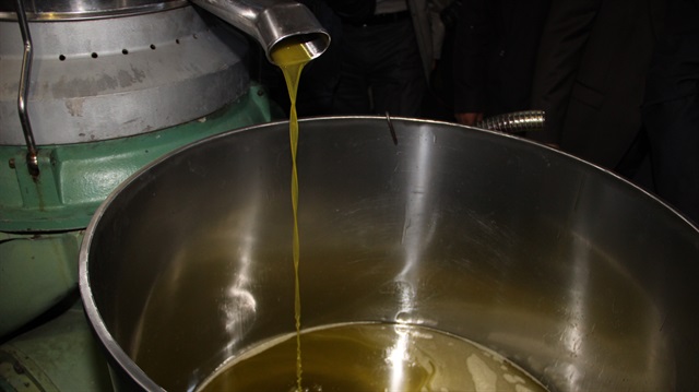 Zeytinyağında fiyatlarla birlikte sahtecilik de çoğaldı