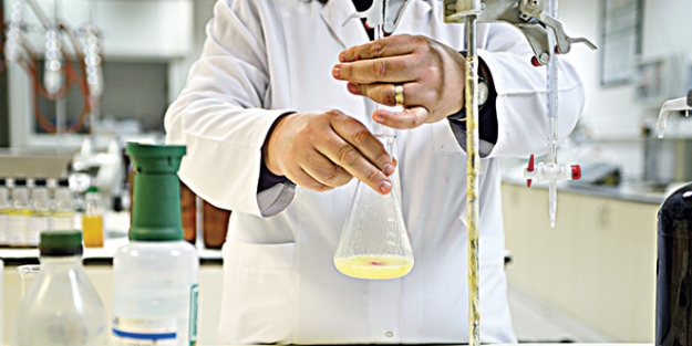 Zeytinyağında tağşiş arttı