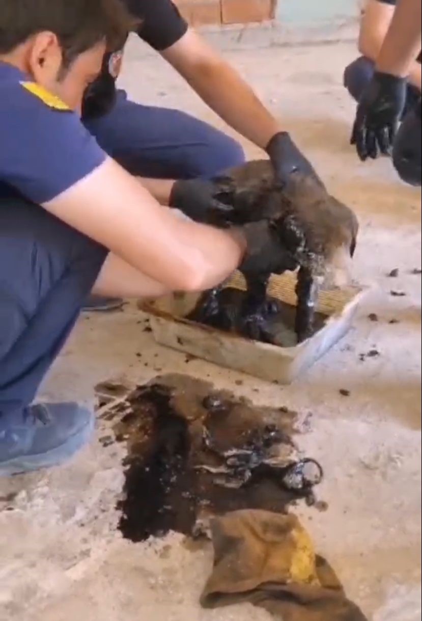 Ziftte mahsur kalan 2 yavru köpeği itfaiye kurtardı