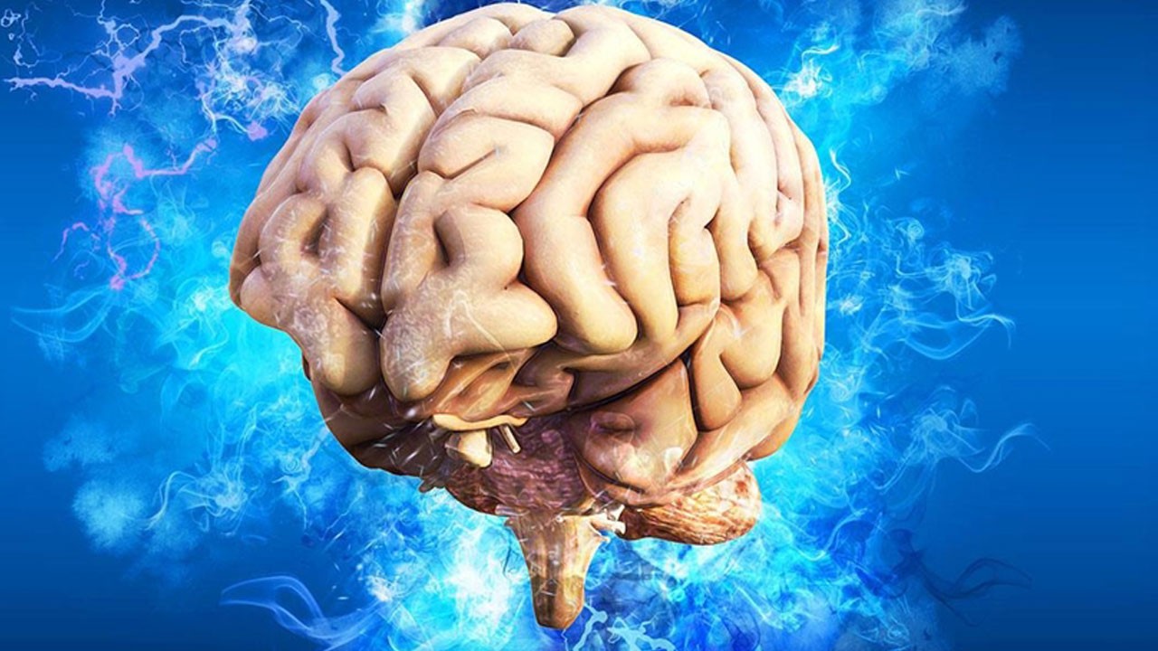 Zihin gücünü şansa bırakma! Beynin de ilgiye ihtiyacı var!