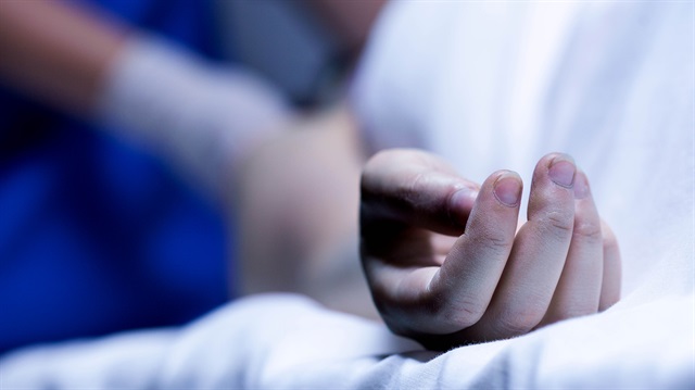 Zika virüsü dünyaya yayılmayı sürdürüyor