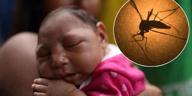 Zika virüsü nedir, öldürür mü? Zika virüsü nasıl bulaşır, hangi ülkelerde var?