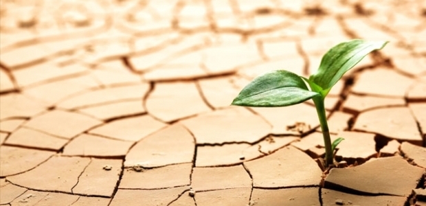 O ülkede kuraklık olağanüstü hal ilan ettirdi!