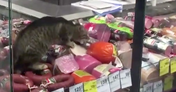 Zincir markette şok görüntü!