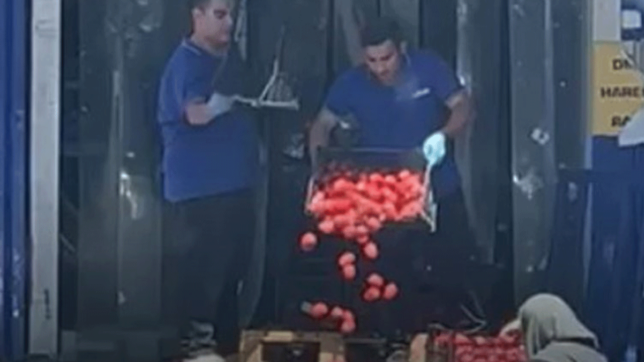 Zincir marketten skandal hareket: Kasalar dolusu domatesi çöpe attılar!