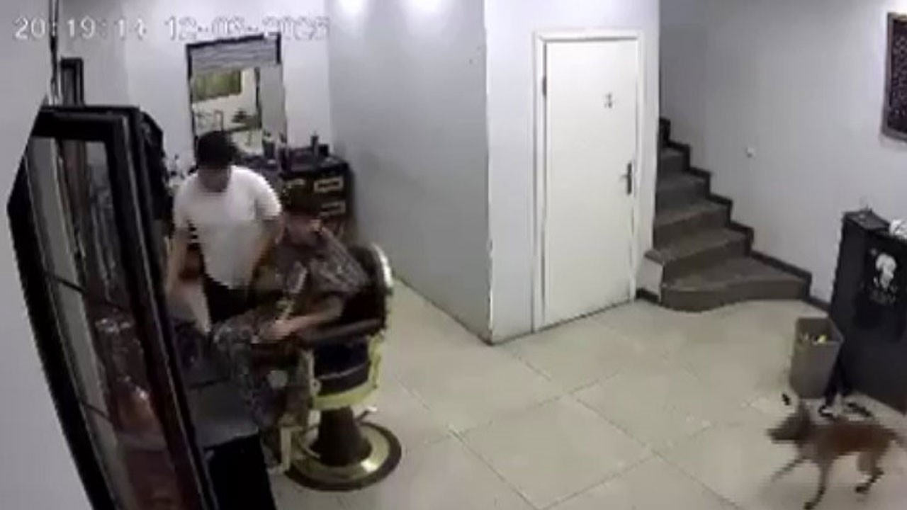 Zincirini koparan köpek kuaförde dehşet saçtı! O anlar kamerada
