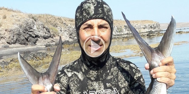 Zıpkınla dev balıkları avlıyor