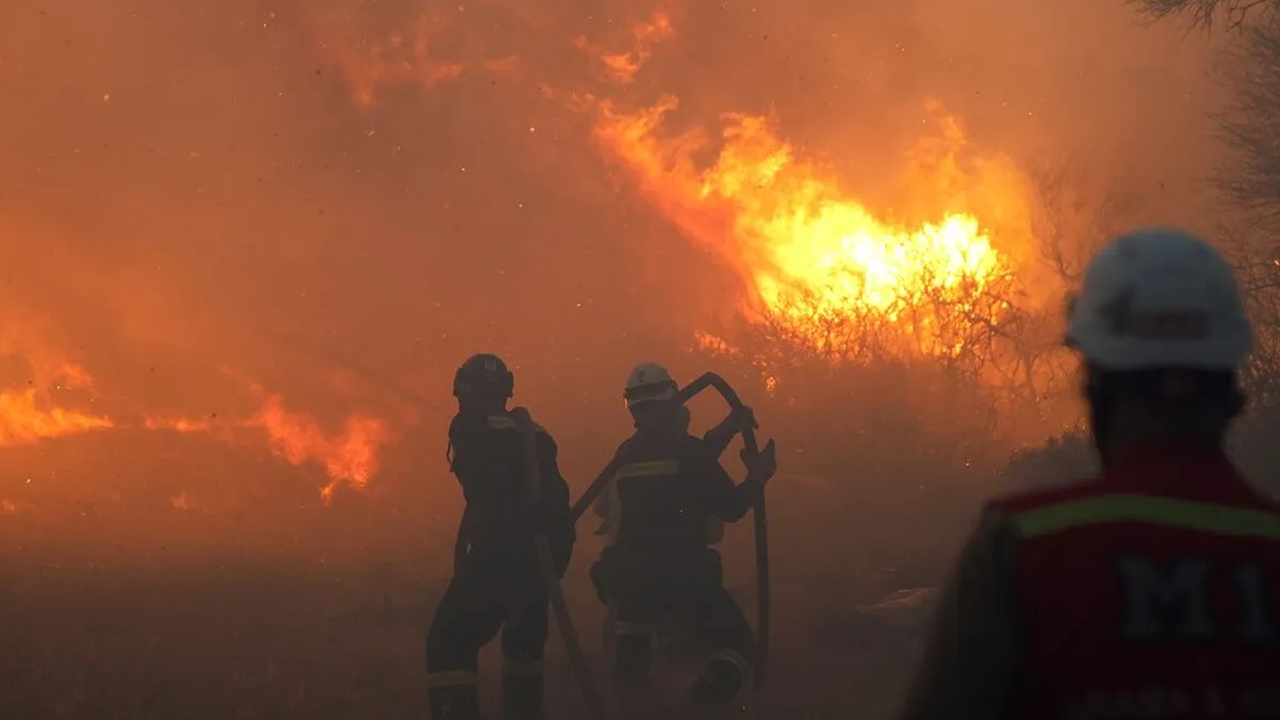 Ziraat alanında başladı, ormana sıçradı!