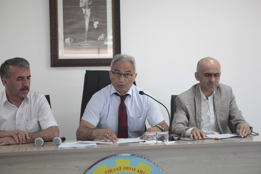 Ziraat Odalarından “Fındık fiyatları Temmuz ayında açıklansın” çağrısı 