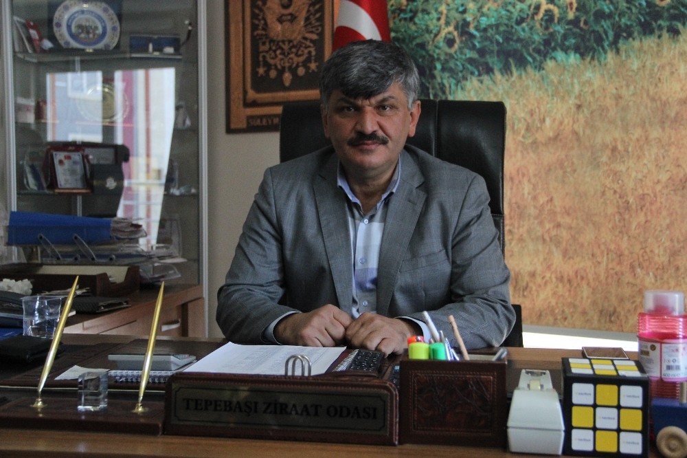 Zirai girdilerdeki artış çiftçiyi zor durumda bırakıyor 