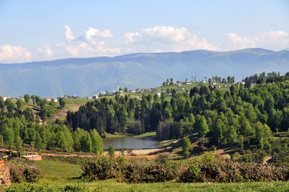 Zirvedeki doğa harikası: Hıdırnebi Yaylası 