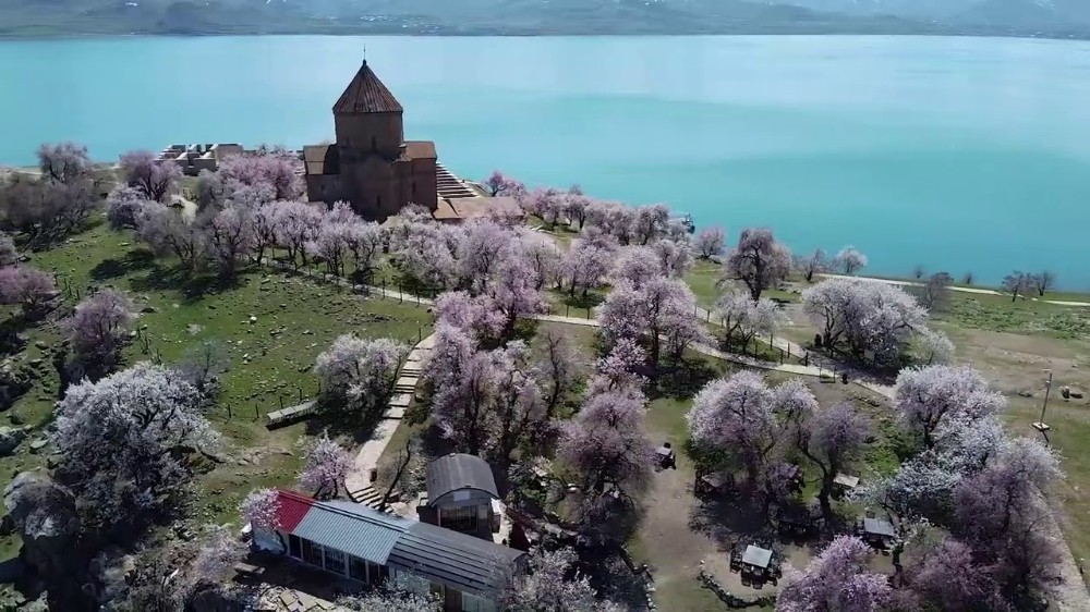 Ziyaretçisiz kalan Akdamar Adası badem çiçekleri ile görsel bir güzellik sunuyor 