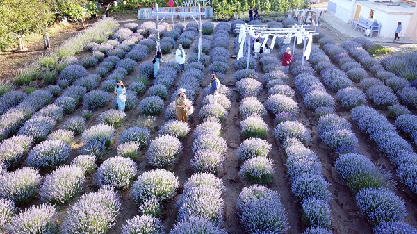 Ziyarete giden gidene! ‘Burada tutmaz’ dediler ama sonuç müthiş