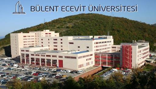Zonguldak Bülent Ecevit Üniversitesi 4 öğretim elemanı alacak