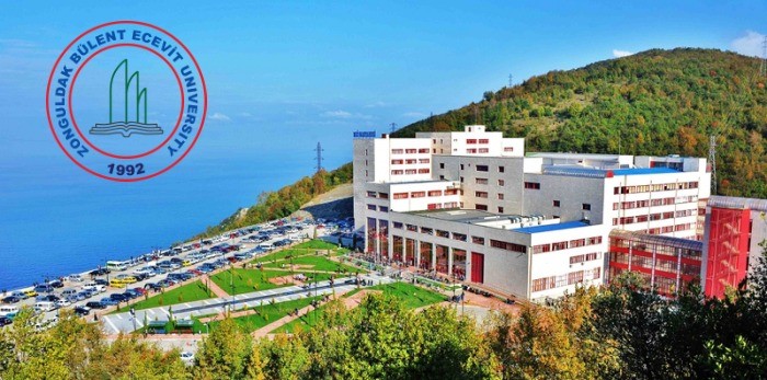 Zonguldak Bülent Ecevit Üniversitesi Öğretim Üyesi alacak