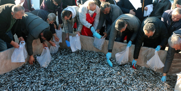 Zonguldak hamsiye doydu