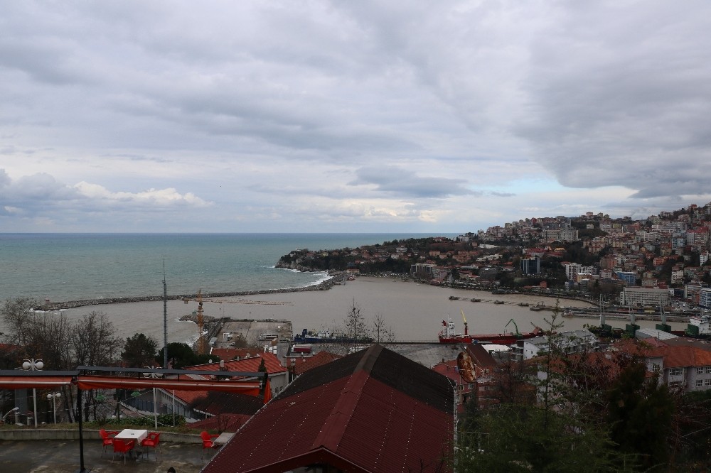 Zonguldak Limanı sarıya boyandı 
