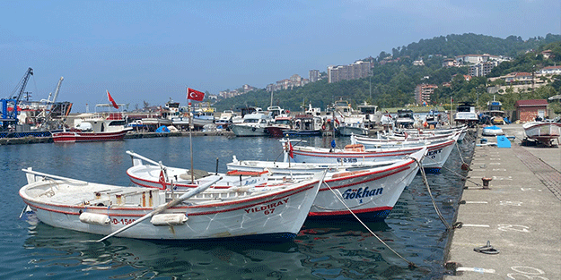 Zonguldaklı balıkçılar dip balıkçılığından umutlu