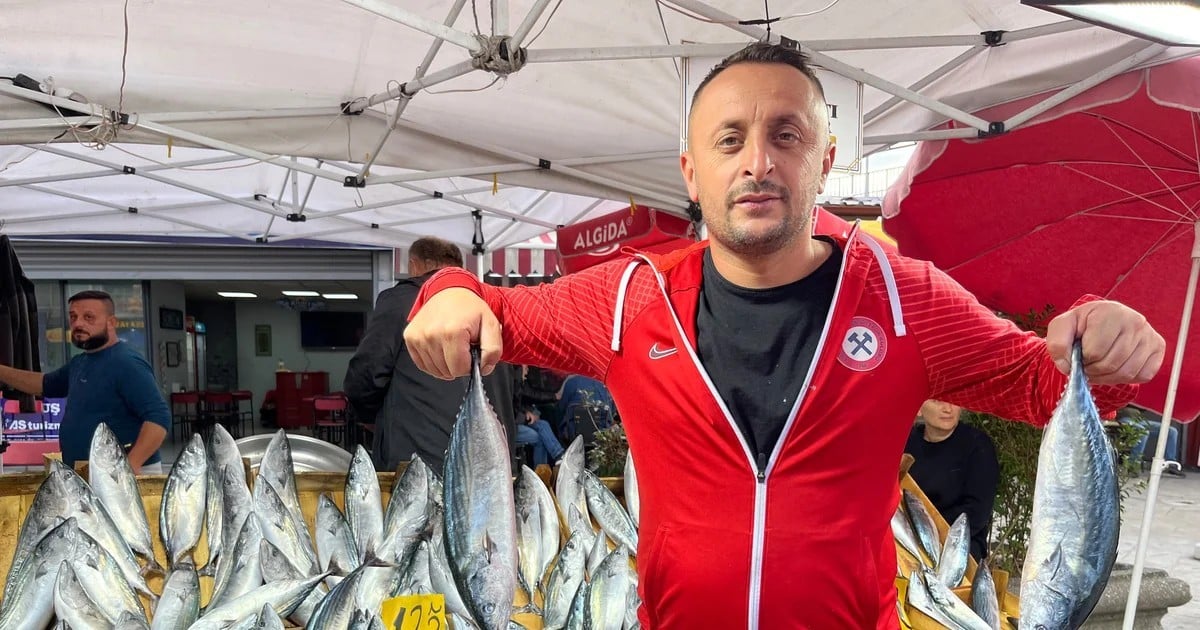 Zonguldak'ta 1 ayda yaklaşık bin ton balık avlandı, palamut 100-175 liradan tezgahta