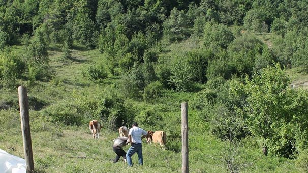 Zonguldak'ta 5 gündür aranıyorlardı! 500 metre uzaklıkta bulundular
