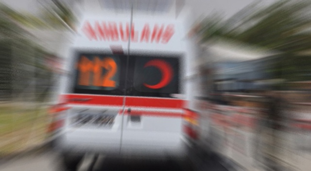 Zonguldak'ta arının soktuğu adam öldü