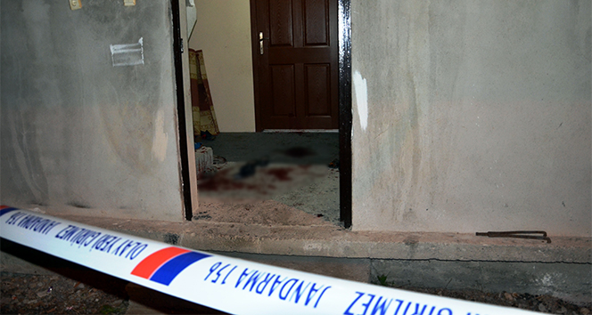 Kadınların inek kavgası kanlı bitti!