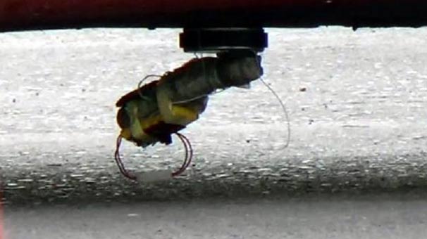 Zonguldak'ta otomobilinin altına bomba konan kadın konuştu: Sezai çok akıllı bir insan