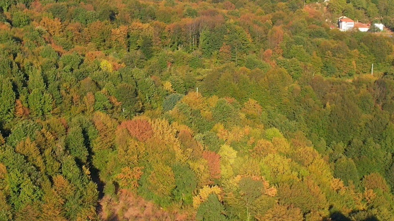 Zonguldak'ta renk cümbüşü havadan görüntülendi
