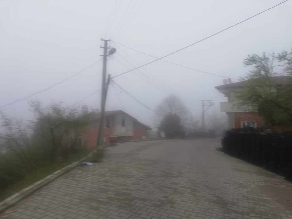 Zonguldak’ta sis etkili oldu 