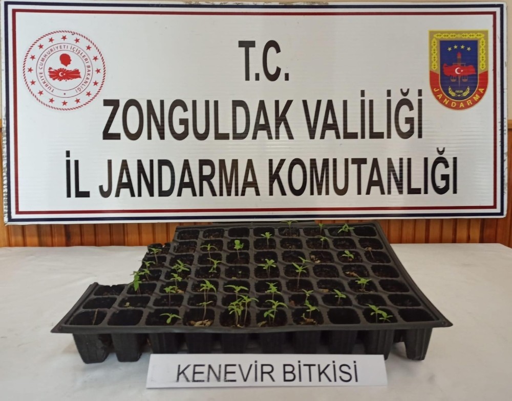 Zonguldak’ta uyuşturucu operasyonu: 1 gözaltı 