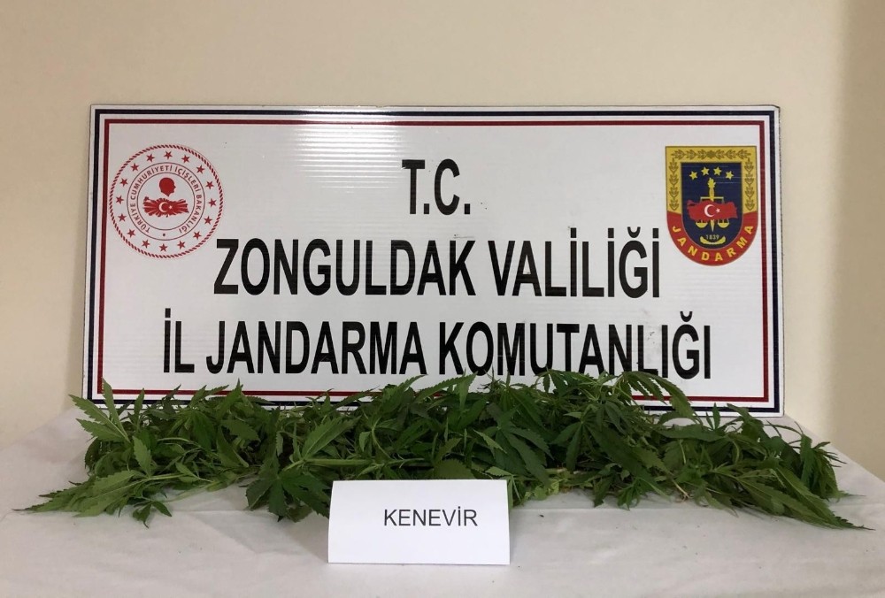 Zonguldak’ta uyuşturucu operasyonu: 1 gözaltı 