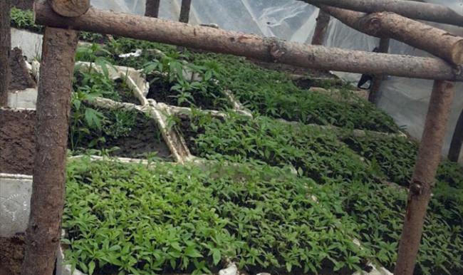 Zonguldak'ta uyuşturucu operasyonu